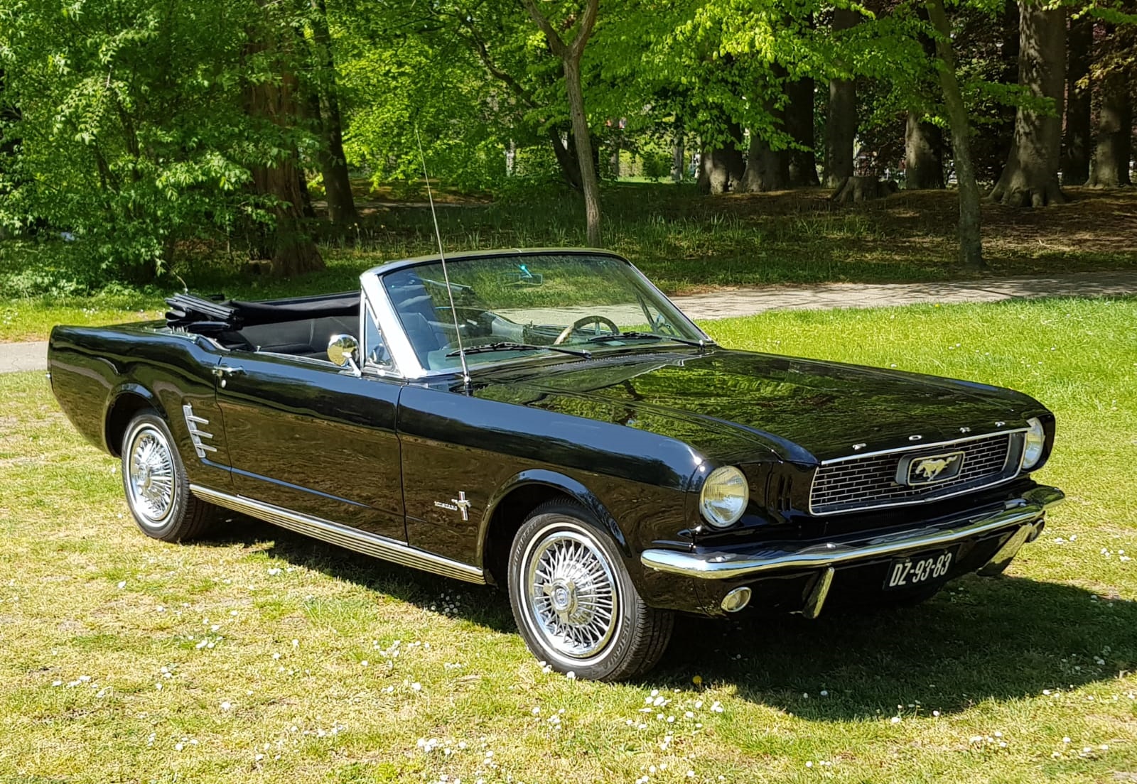 Smeltend extract tijdelijk Ford Mustang cabriolet uit 1966 zwart - Bekijk de Mustang nu snel  Trouwautoshop.nl